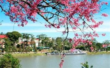 Xuân trong chốn thiền môn